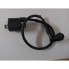 Bobine allumage quad 150cc