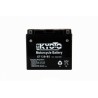 Batterie YT12B-BS