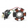 Stator AM6 Ducati