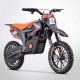 Pocket cross électrique RX 550W - DIAMON MOTORS - Édition 2025 