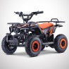 Pocket quad électrique RINO 800W - DIAMON MOTORS - Édition 2025