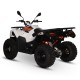 Quad 300cc agricole KAYO AU300