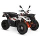 Quad 300cc agricole KAYO AU300