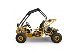 Buggy enfant 110cc 2 places 4T