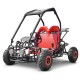Buggy enfant 110cc 2 places 4T