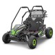 Buggy électrique 2000W - BUGGY PANTHER 