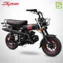 Dax 125cc homologué 4 temps