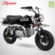 Moto MONKEY 125 - SKYTEAM