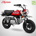 Moto MONKEY 125 - SKYTEAM