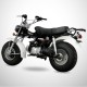 T REX SKYTEAM 125cc homologué 4 temps