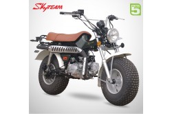 T REX SKYTEAM 125cc homologué 4 temps