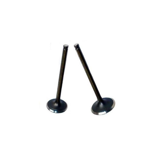 Jeu de soupape 64mm seul