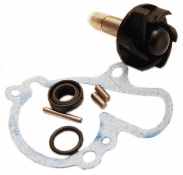 Pompe à eau AM6 EURO1