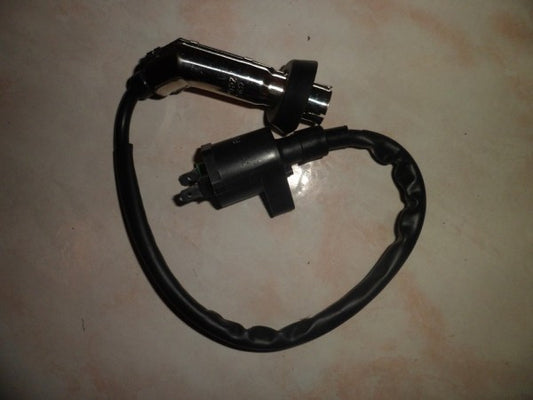 Bobine allumage quad 250cc
