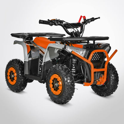 Quad Pocket Quad LANDER 49 - DIAMON MOTORS