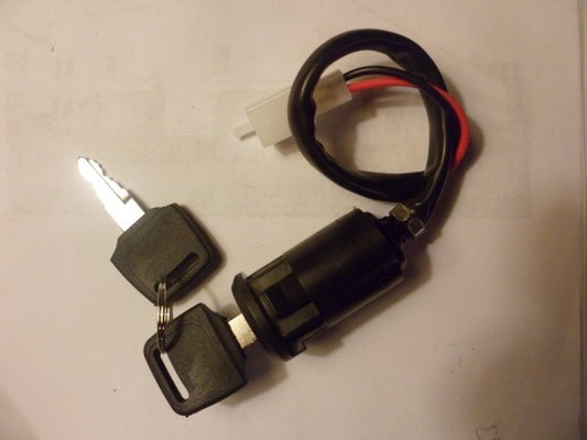 Nieman quad électrique