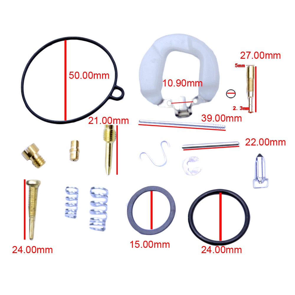 Kit réparation carburateur PZ19