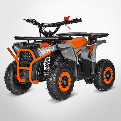 Quad Pocket Quad LANDER 49 - DIAMON MOTORS