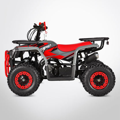 Quad Pocket Quad LANDER 49 - DIAMON MOTORS
