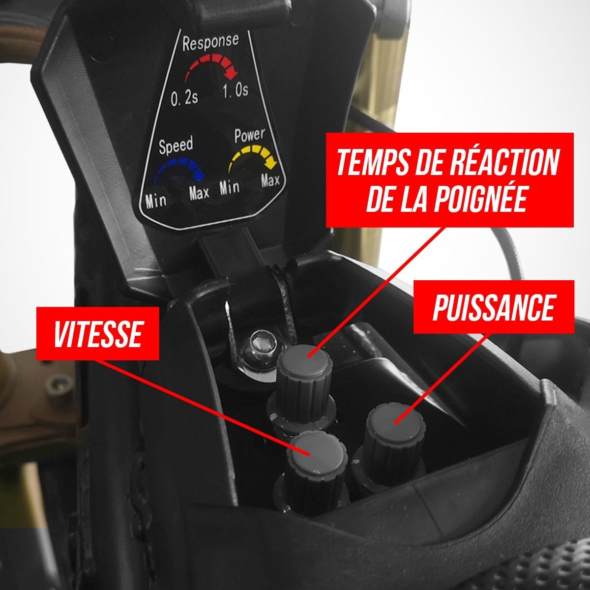 Moto enfant électrique RX 1000W - 12/10 - DIAMON MOTORS - Édition 2025 -