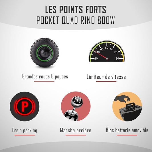 Pocket quad électrique RINO 800W - DIAMON MOTORS - Édition 2025