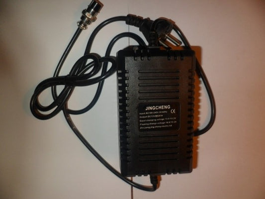Chargeur 12V